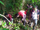 PENANAMAN BERINGIN DI SEPANJANG AREAL TEBING BUKIT AMBENGAN