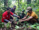 PERINGATI HPMI 2022, DLH BERSINERGI DENGAN DESA AMBENGAN LAKUKAN PENANAMAN DI HUTAN DESA