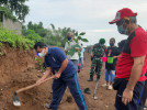 PENANAMAN POHON DI SETRA BULELENG