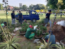 PENGGANTIAN TANAMAN HIAS DALAM POT OLEH PETUGAS TAMAN DLH