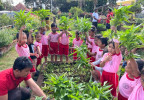 TANAM DAN PANEN SAYUR ORGANIK DI SINGARAJA SMART AGROCITY