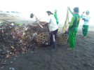 AKSI GOTONG ROYONG DI PANTAI DOLVIN LOVINA