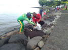 SINERGITAS GOTONG ROYONG BERSIHKAN SAMPAH PLASTIK DI PANTAI PEMARON