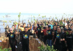 SIGAP MANGROVE DI PESISIR PIDADA BULELENG