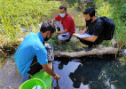 PENGUJIAN KUALITAS AIR SUNGAI