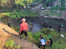 WUJUDKAN BULELENG KALI BERSIH, DLH GELAR AKSI BUKALSIH DI HILIR SUNGAI BANYUMALA